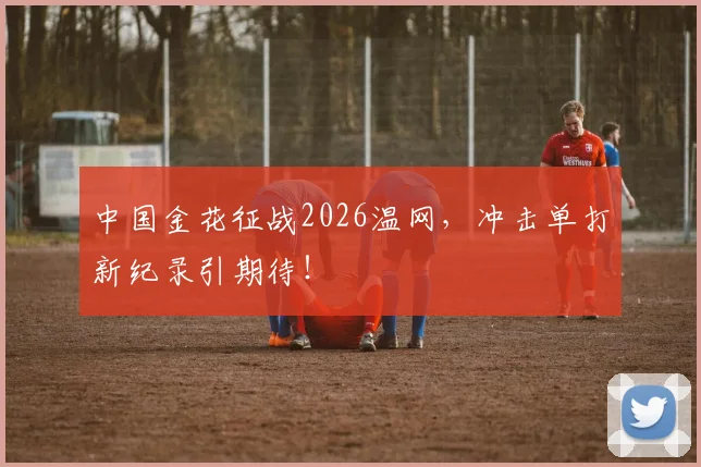 中国金花征战2026温网，冲击单打新纪录引期待！