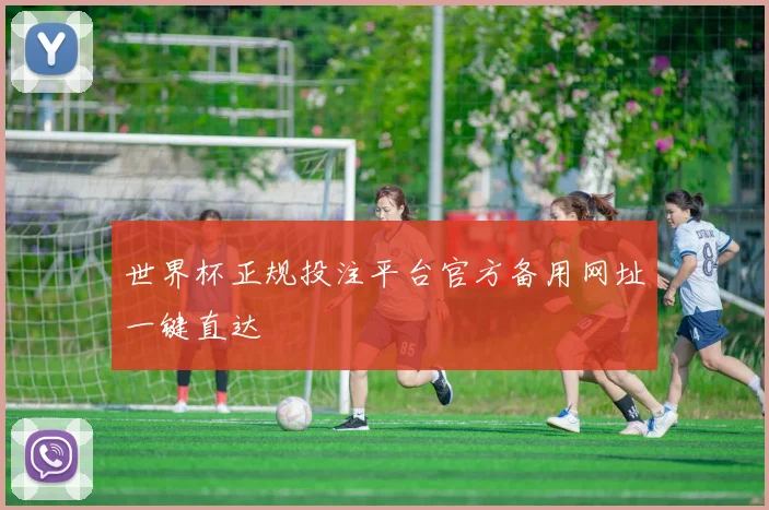 世界杯正规投注平台官方备用网址一键直达