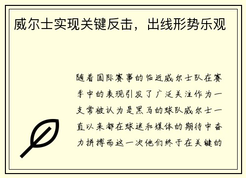 威尔士实现关键反击，出线形势乐观